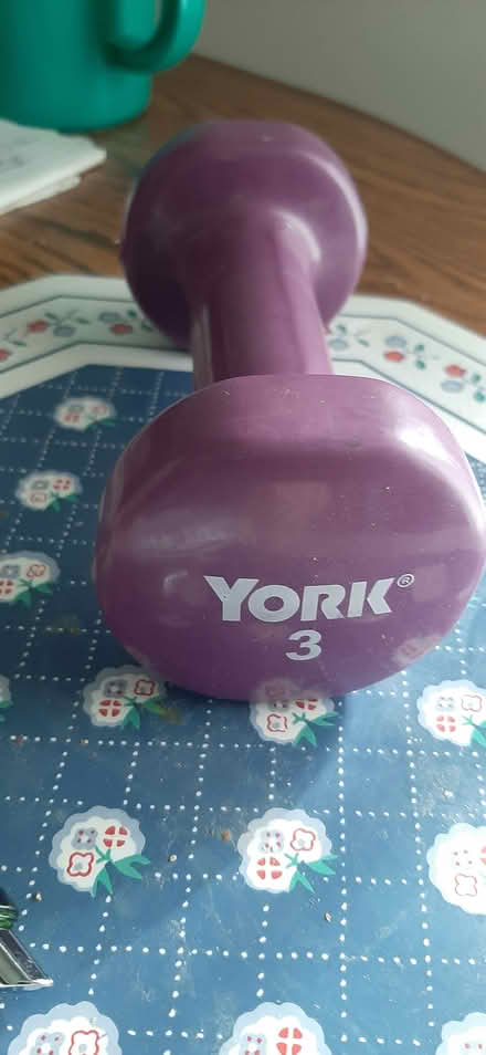Photo of free Set of two - 3 lb.weights (Farmington Hills) #1