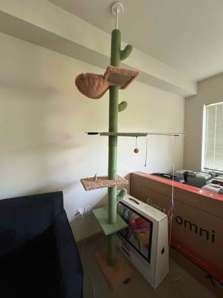 Photo of free Cat tree (Greenwood) #1