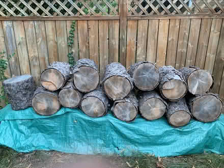 Photo of free wood (Kitchener N2M 4J1) #1