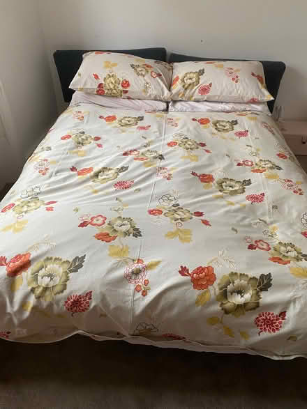 Photo of free Sofa bed (Barnsbury N1) #1