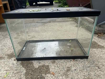 Photo of free Fish Tank - Habitat - Terrarium (Watertown) #1