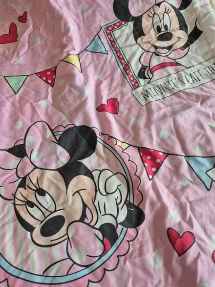 Photo of free Minnie mouse single duvet cover (Chiseldon, SN4) #1