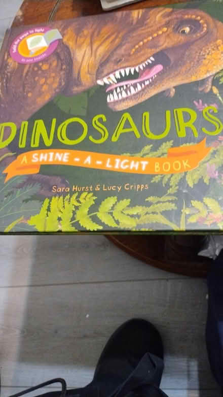 Photo of free Shine-a-light books (Allen) #1