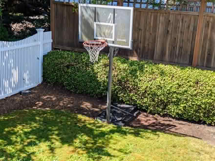 Photo of free Adjustable Height Basketball Hoop (Seward Park) #1