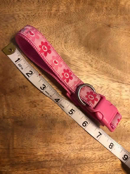 Photo of free Pink dog collar s/m (Egerton Park CH42) #1