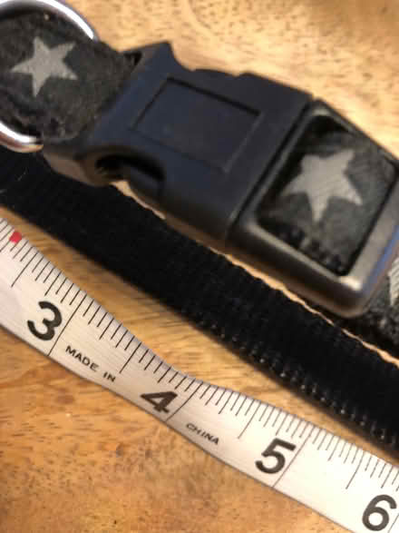 Photo of free Dog collar s/m (Egerton Park CH42) #2