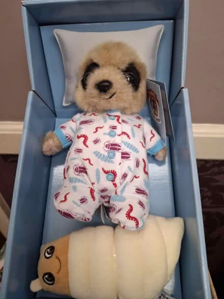 Photo of free Oleg Baby Toy (M32 Stretford) #1