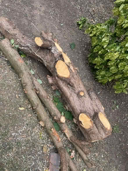 Photo of free Off cuts of wood (Droitwich Spa WR9) #1
