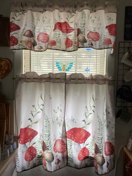 Photo of free Curtains (Glenolden 19036) #1