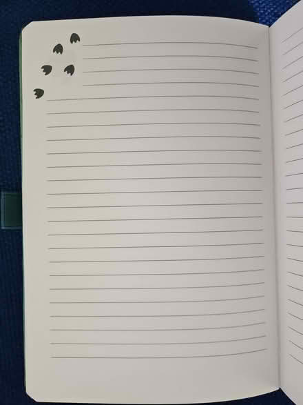 Photo of free A5 notebook - Dinosaur (Radford Semele CV31) #2