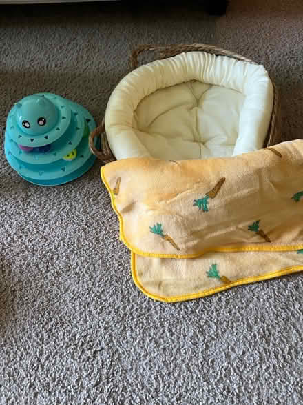Photo of free Cat bed + Blanket + Toy (Greenwood) #1