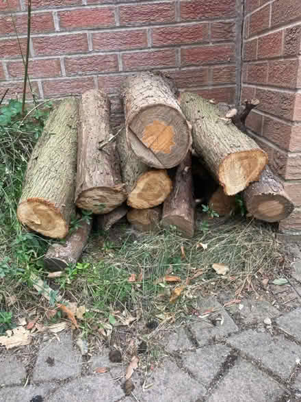 Photo of free Off cuts of wood (Droitwich Spa WR9) #2