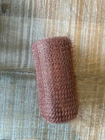Photo of free Copper mesh to stop slugs (Walkley S6) #1