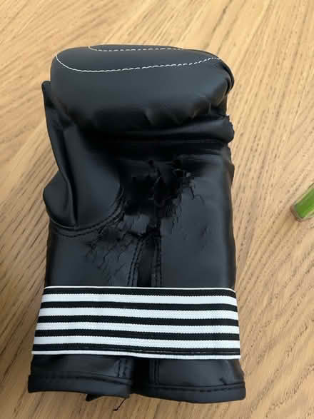 Photo of Slip on kids boxing gloves (Barry CF63) #3