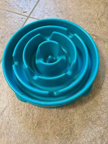 Photo of free Dog dish (PH near Strandwood School) #1