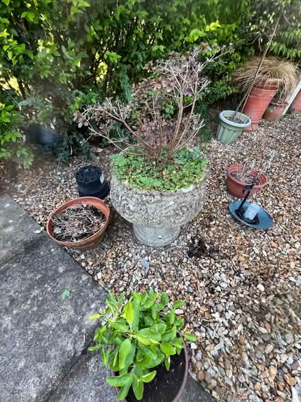 Photo of free Heavy Stone/concrete Planters (Queens Park BH8) #3