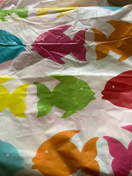 Photo of free Shower curtain (Kilbarchan) #1