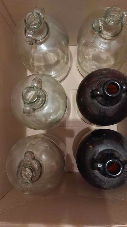 Photo of free 6 x 8 pint demijohns (Toddington LU5) #1
