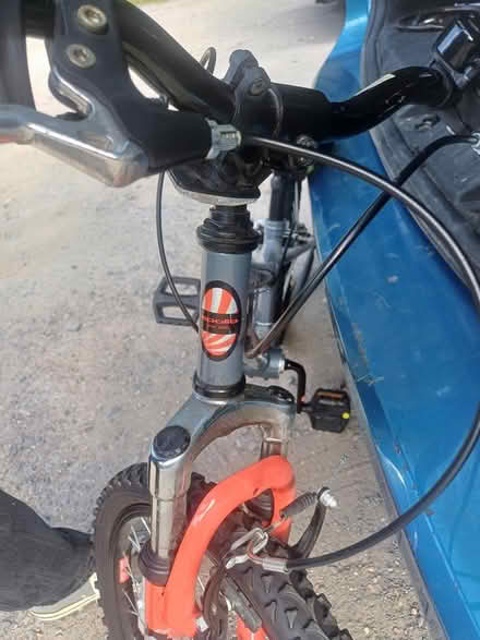 Photo of free Kids bike (Orpington BR5) #4