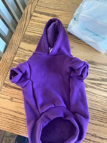 Photo of free Dog/puppy hoodie (Killiney, Co Dublin) #2