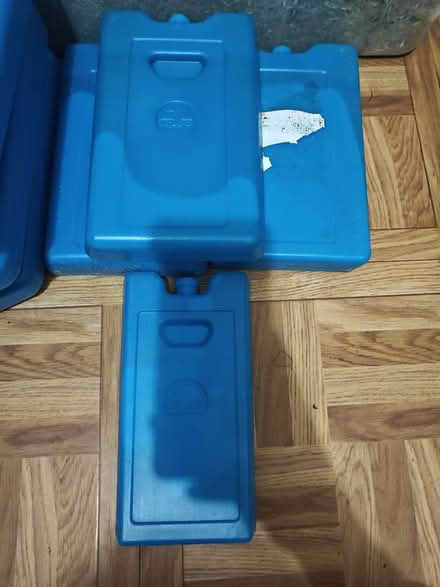 Photo of free Igloo ice packs (Echo Park) #3