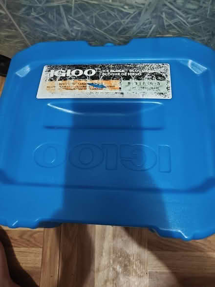 Photo of free Igloo ice packs (Echo Park) #2
