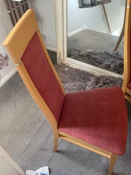 Photo of free 4 dining chairs pink (Hollingbury BN1) #1