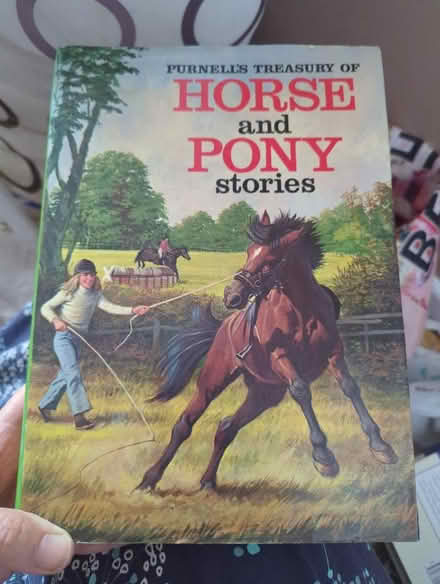 Photo of free Book- horse and pony stories (Shippon OX13) #1