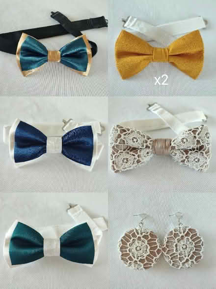 Photo of free Bow ties and 1 pair of earrings (Rhosllanerchrugog LL14) #1