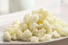 Photo of Kefir for milk (Fiveways BN1) #1