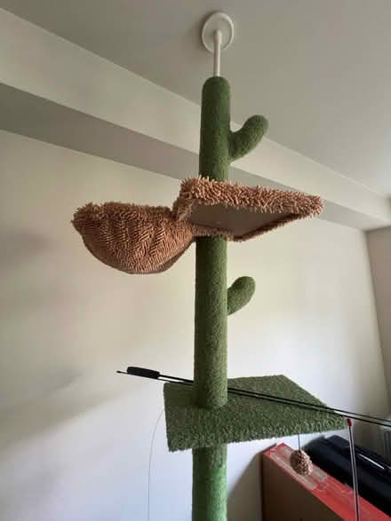 Photo of free Cat tree (Greenwood) #2