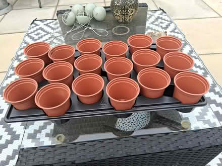 Photo of free 9cm pots (Dereham Nr19) #1