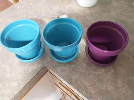 Photo of free 3 small plant pots (Meriden off Curtis st) #1