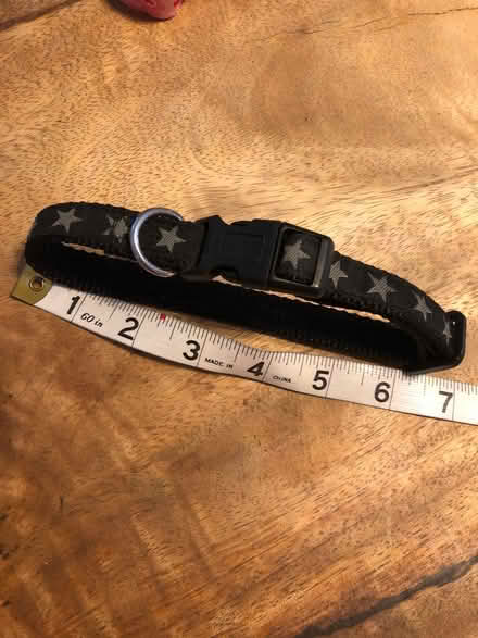 Photo of free Dog collar s/m (Egerton Park CH42) #1