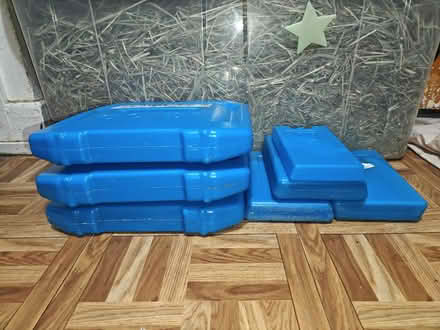 Photo of free Igloo ice packs (Echo Park) #1