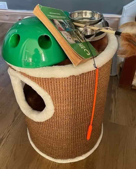 Photo of free Cat scratching post/container and toys/bowls (Lyncombe) #1