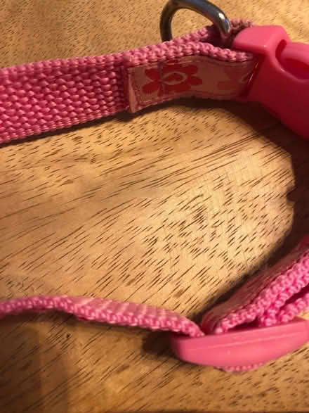 Photo of free Pink dog collar s/m (Egerton Park CH42) #3