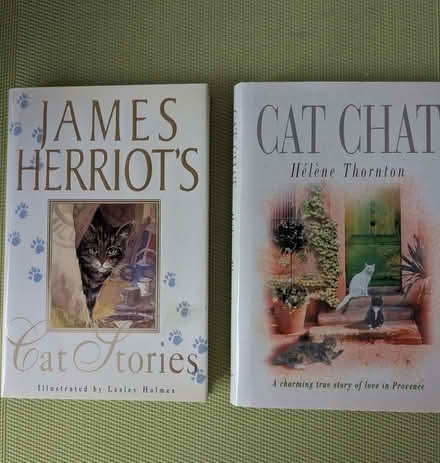 Photo of free Cat Stories (Beulah Hill SE19) #1