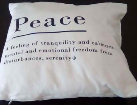 Photo of free Cream cushion 15" square (Lower Earley RG6) #1