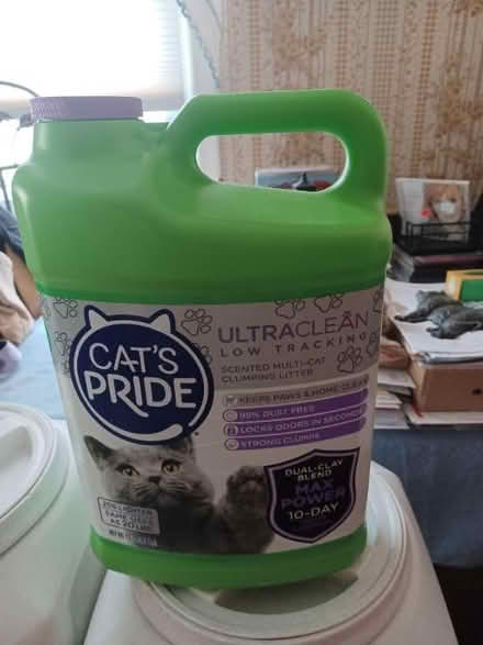 Photo of free Cat Litter Jugs (Garden City) #1