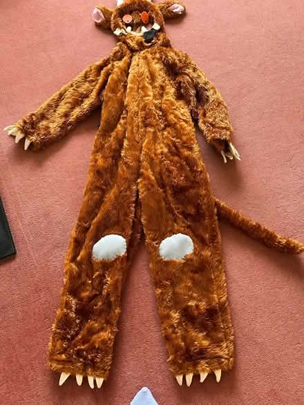Photo of free Adult Gruffalo outfit (Kingsway) #1
