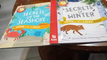 Photo of free Shine-a-light books (Allen) #2