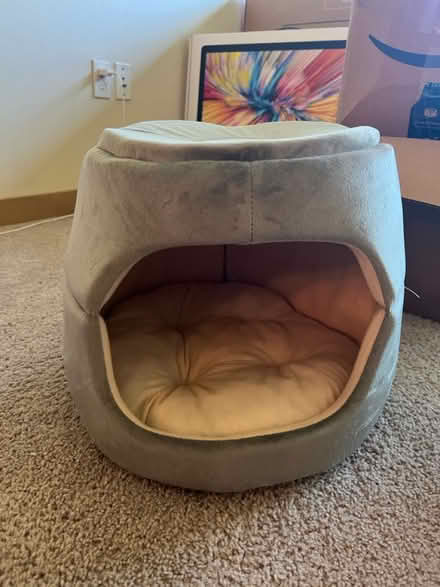Photo of free Cat Bed (Greenwood) #1