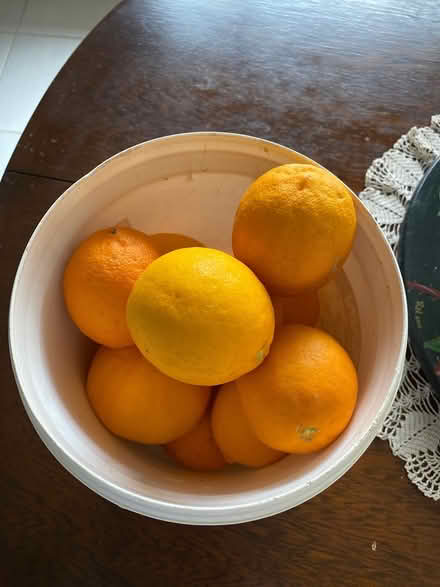 Photo of free Lemons (Wodonga South) #1