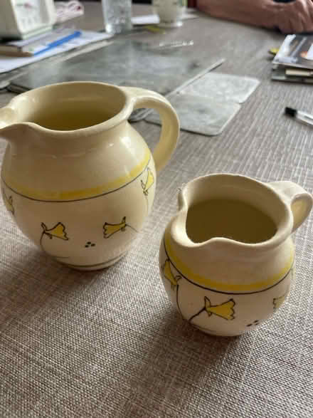 Photo of free Milk jugs x 2 (RH17 6TQ) #1