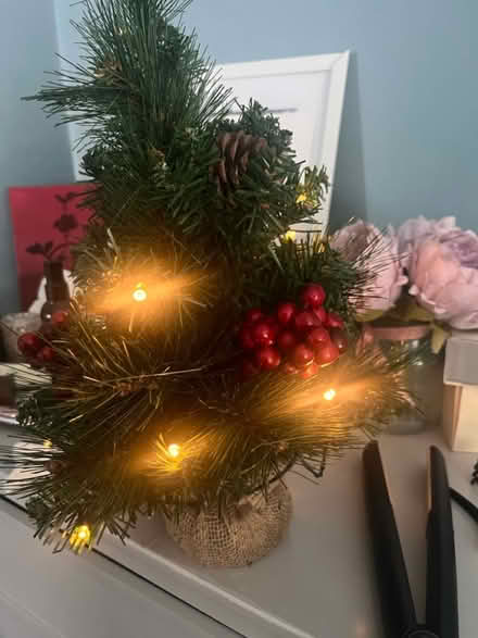 Photo of free Small Christmas Tree (Ballyhackamore) #2