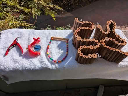 Photo of free Bird toys (West End) #4