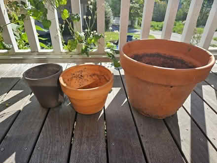 Photo of free assorted plant pots (Roxbury) #1