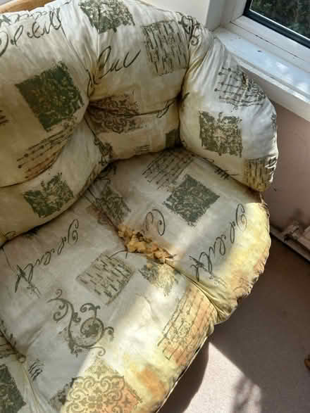 Photo of free Conservatory furniture (Dorchester DT2) #3