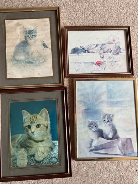 Photo of free Pictures (Mickleover DE3) #1